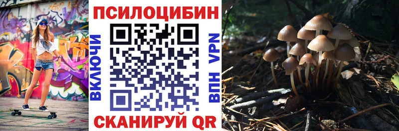 Псилоцибиновые грибы GOLDEN TEACHER  Ялуторовск 